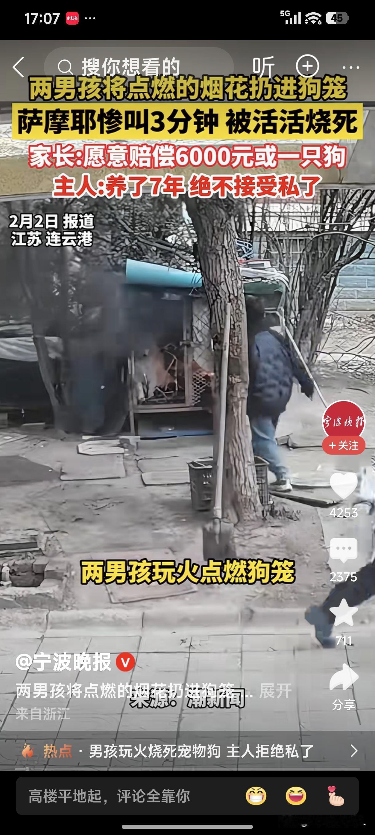 2月2日，江苏，连云港。两男孩儿将点燃的烟花扔进狗笼，萨摩耶狗惨叫3分钟，被活活