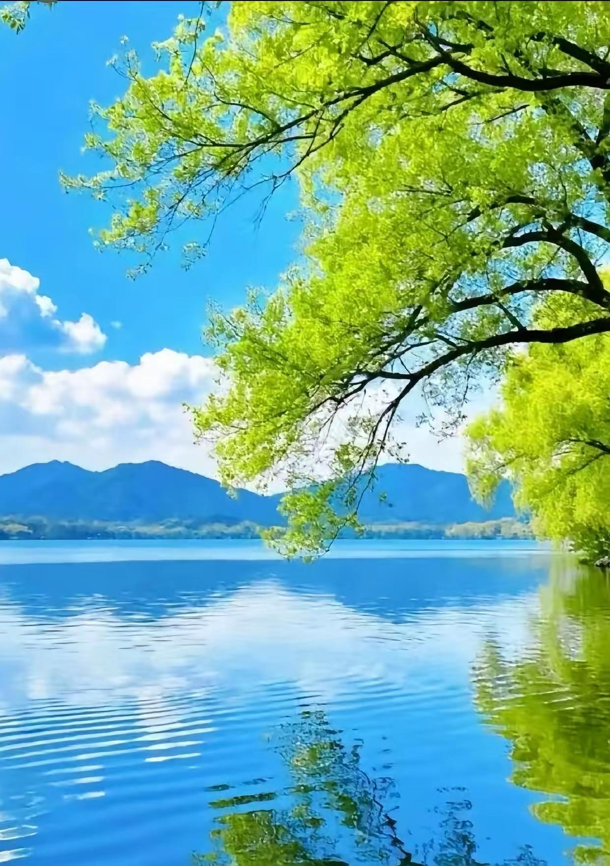 凡事有度，人生自安别把路走得太急别把话说得太满别把心绷得太紧别把情看