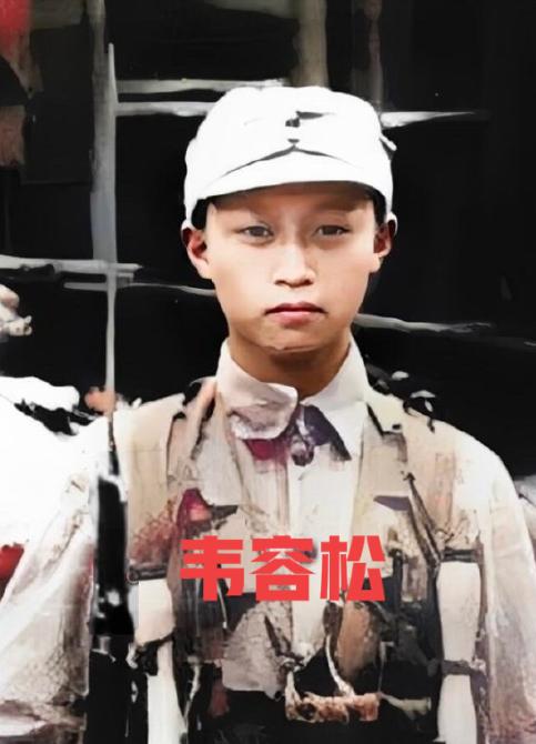 1938年，台儿庄战役，16岁的“狼兵”韦容松正在巡逻，途中，他碰到了由6名日军