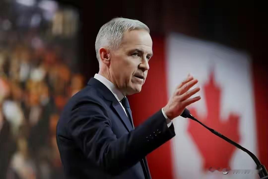 卡尼对全世界说了一句话：中国经济虽没超美国，但胜在稳定，我们能看到中国的大国风范