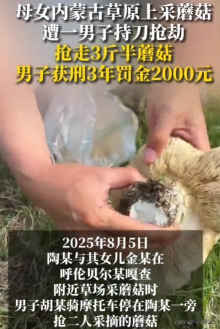 内蒙古呼伦贝尔，牧民陶某带女儿金某在村附近草场采白花脸蘑菇，这时胡某骑摩托车冲来