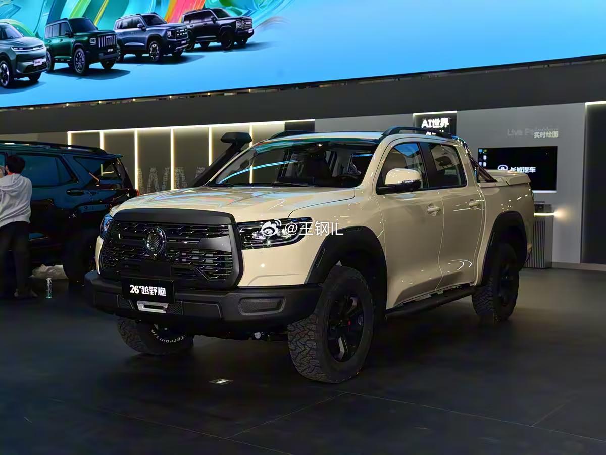 专为西南高原调校的2.4T柴油+9AT，480N・m扭矩1500转