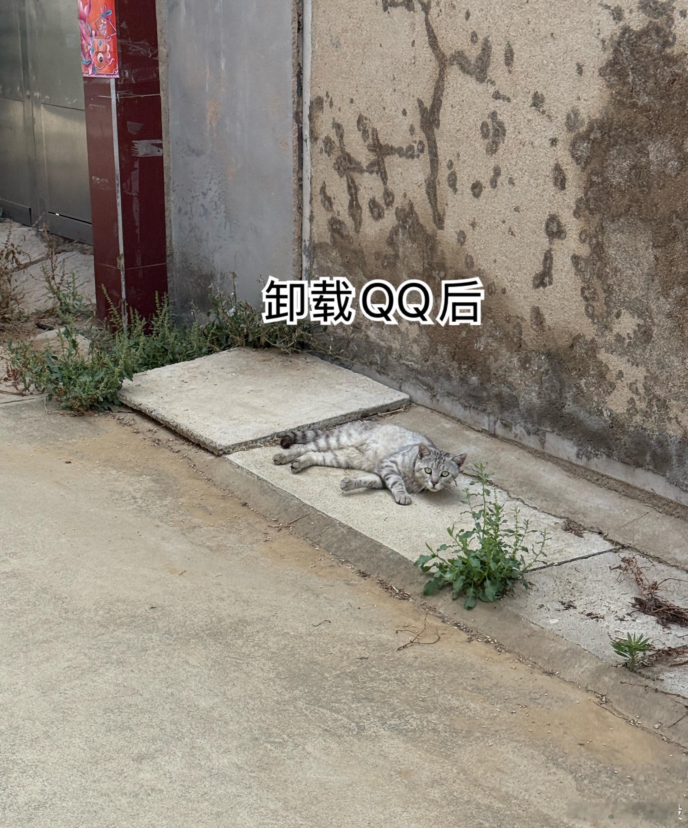 面相都变了