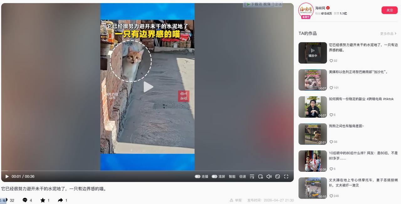 山东，一网友居家翻新抹完水泥地，地面还处于潮湿未凝固状态，家里的小猫因找不到亲近