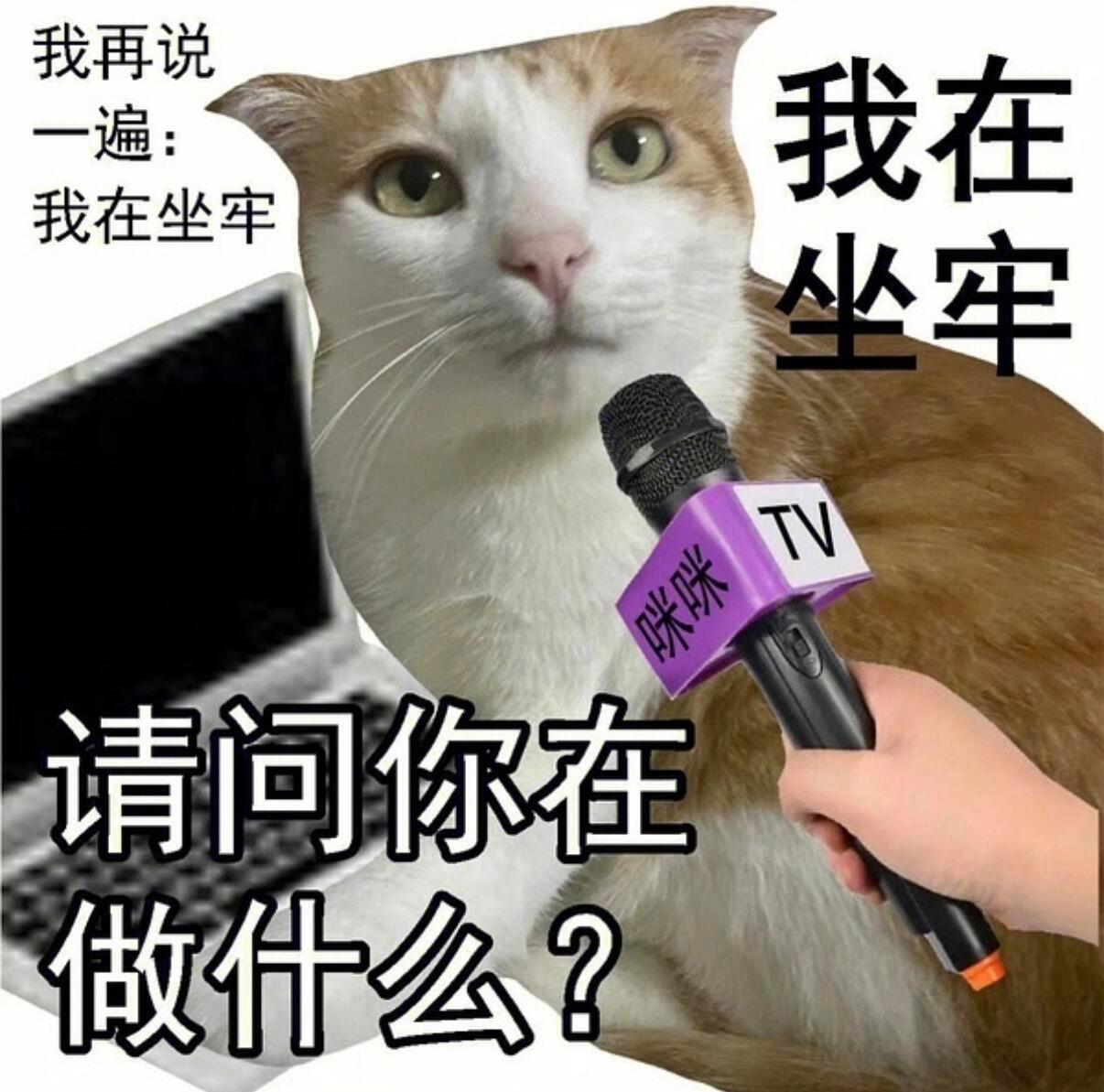 科研人精神状态一览生活趣事狂想曲​​​