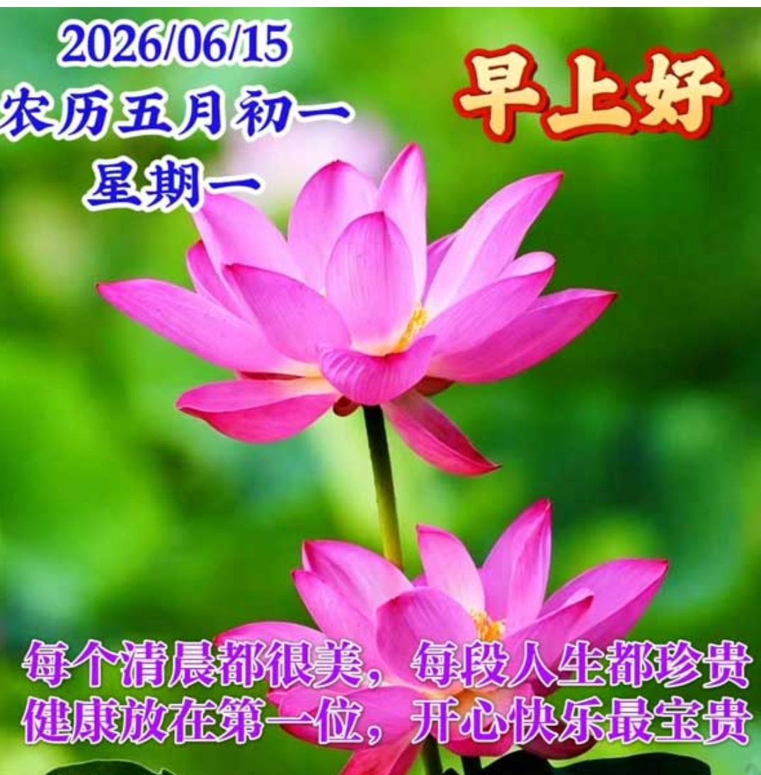 新的一周，新的朝阳；新的问候，彼此牵挂；真心祝福，夏日安康；元气满满，万事