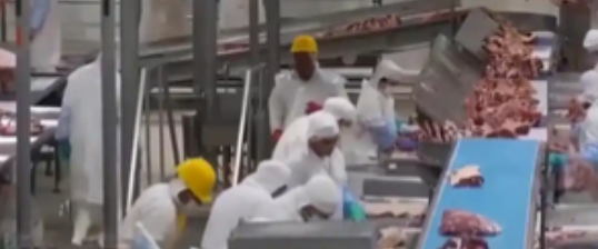 阿根廷为啥非得跑一万公里把牛肉便宜卖到中国？因为他们的牛肉根本卖不动。 麻烦