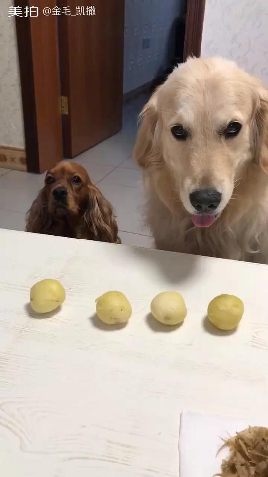 17491616099328392899.jpeg?id=0