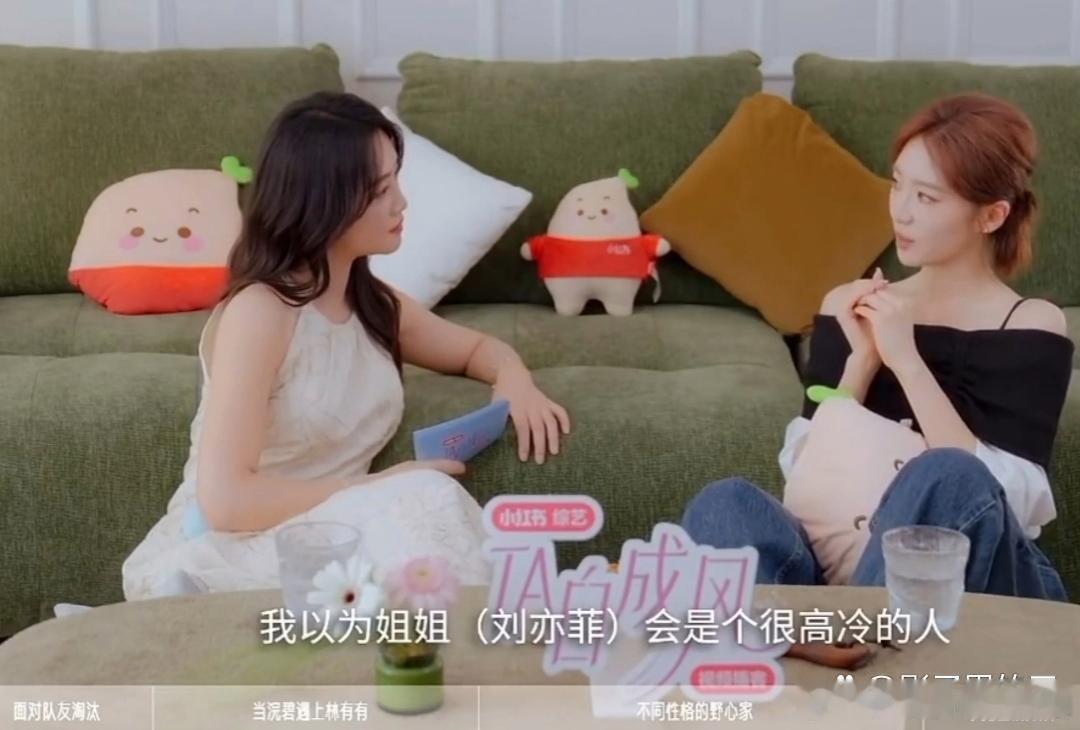 张月以为刘亦菲很高冷张月说在庆功宴上刘亦菲刚好坐同一桌，自己内心戏演了八百遍，想