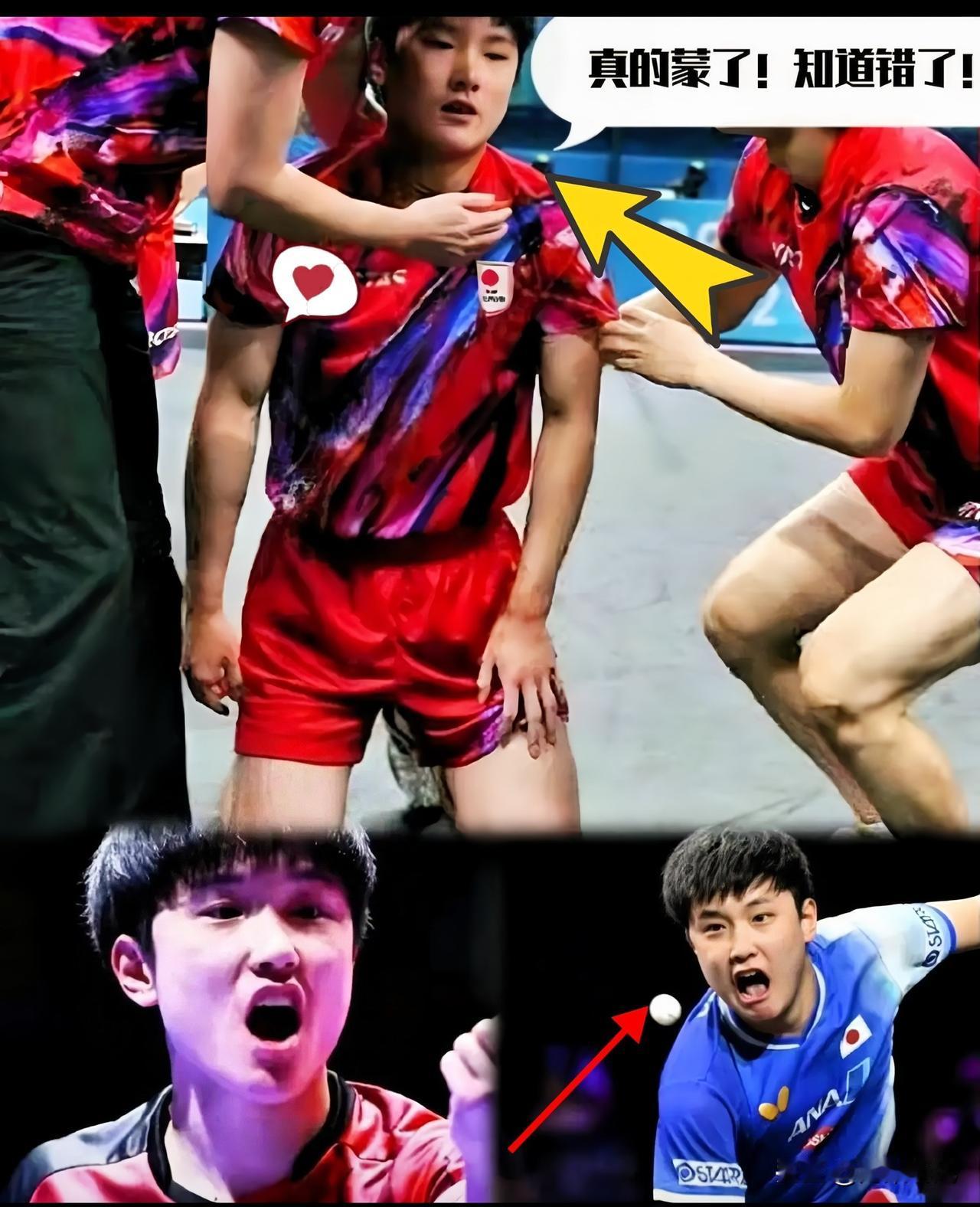 真够狠的，日本乒协这次是动真格了。张本智和的名字确实没出