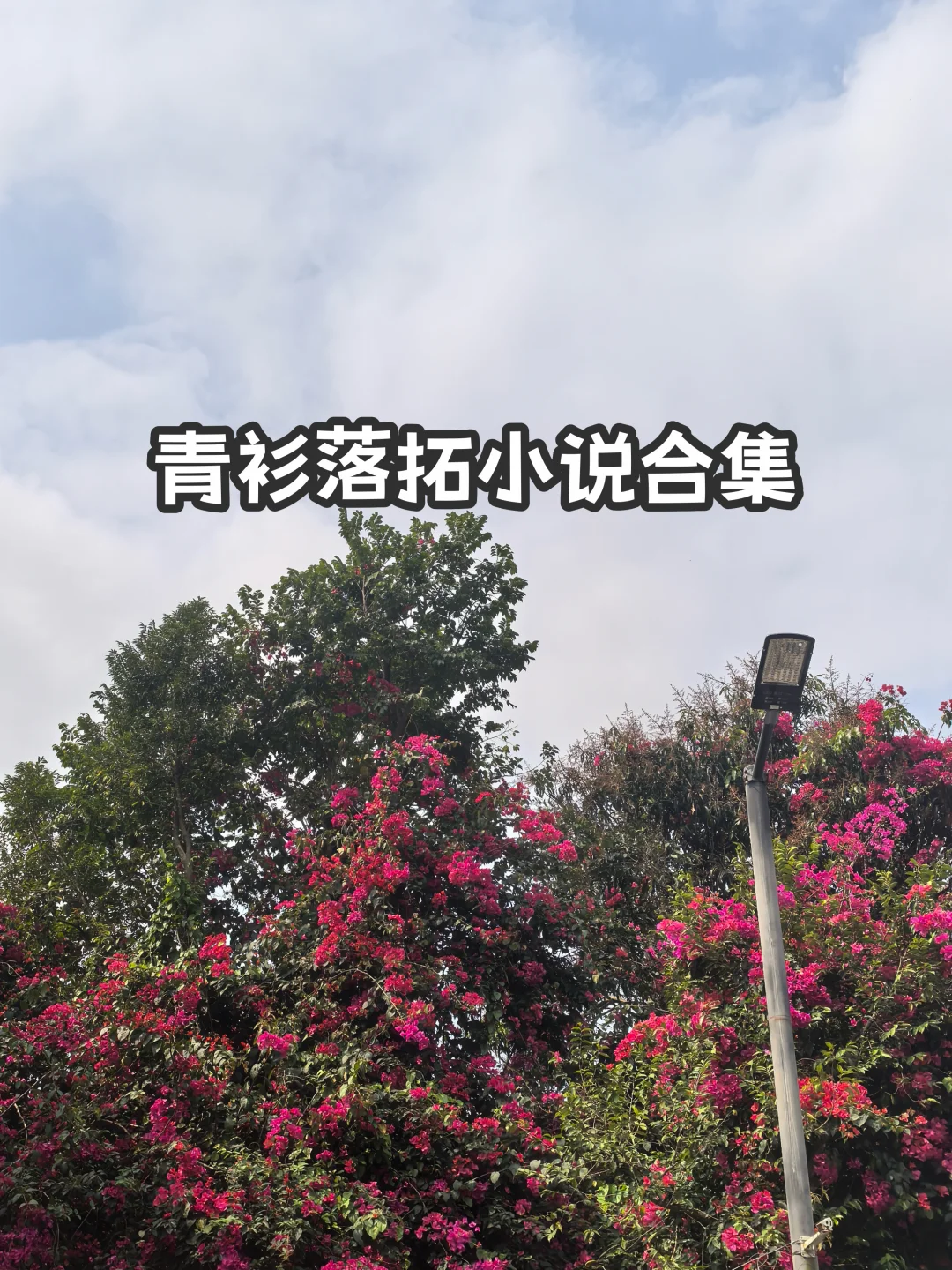 宝藏大大青衫落拓小说合集