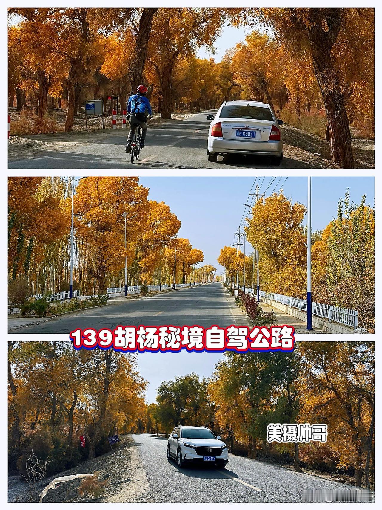 南疆胡杨秘境—139胡杨秘境自驾公路139胡杨秘境自驾公路全长139公里，沿