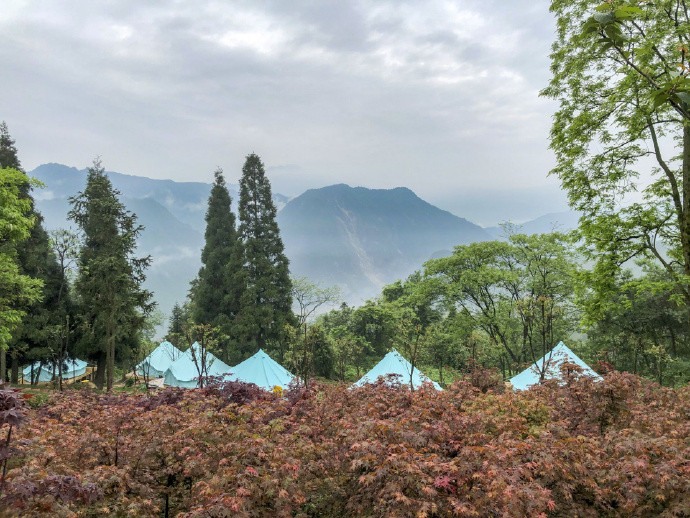 【成都赵公山发现一具男性遗体】救援人员回应赵公山发现男性遗体“刚刚爬赵公山路上