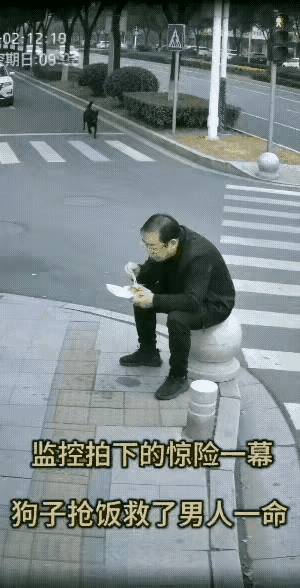 看到张晓磊转发这个视频图，瞬间不平静了。视频中，一名男子坐在街边路障石球上吃