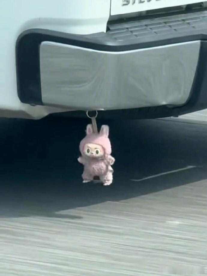 真就同bu不同命