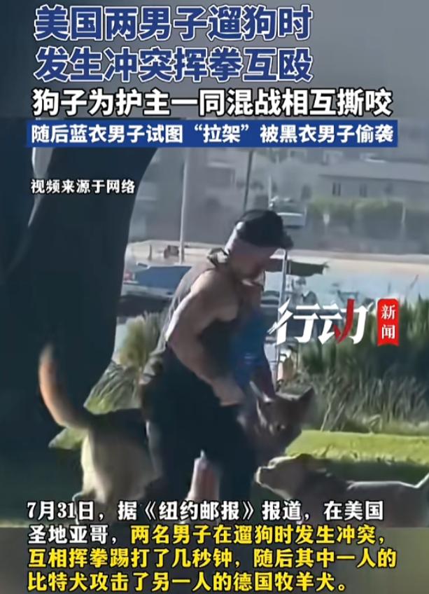 “哭笑不得！”8月2日报道，美国，两男子遛狗时，发生了冲突，他们互相扭打，毫不留