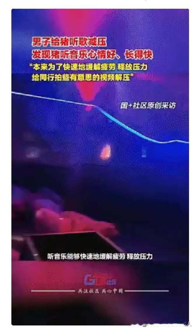 这事儿听起来有点玄乎，但确实是真的！近日在广西桂林，庞先生因为养猪太无聊，索性在