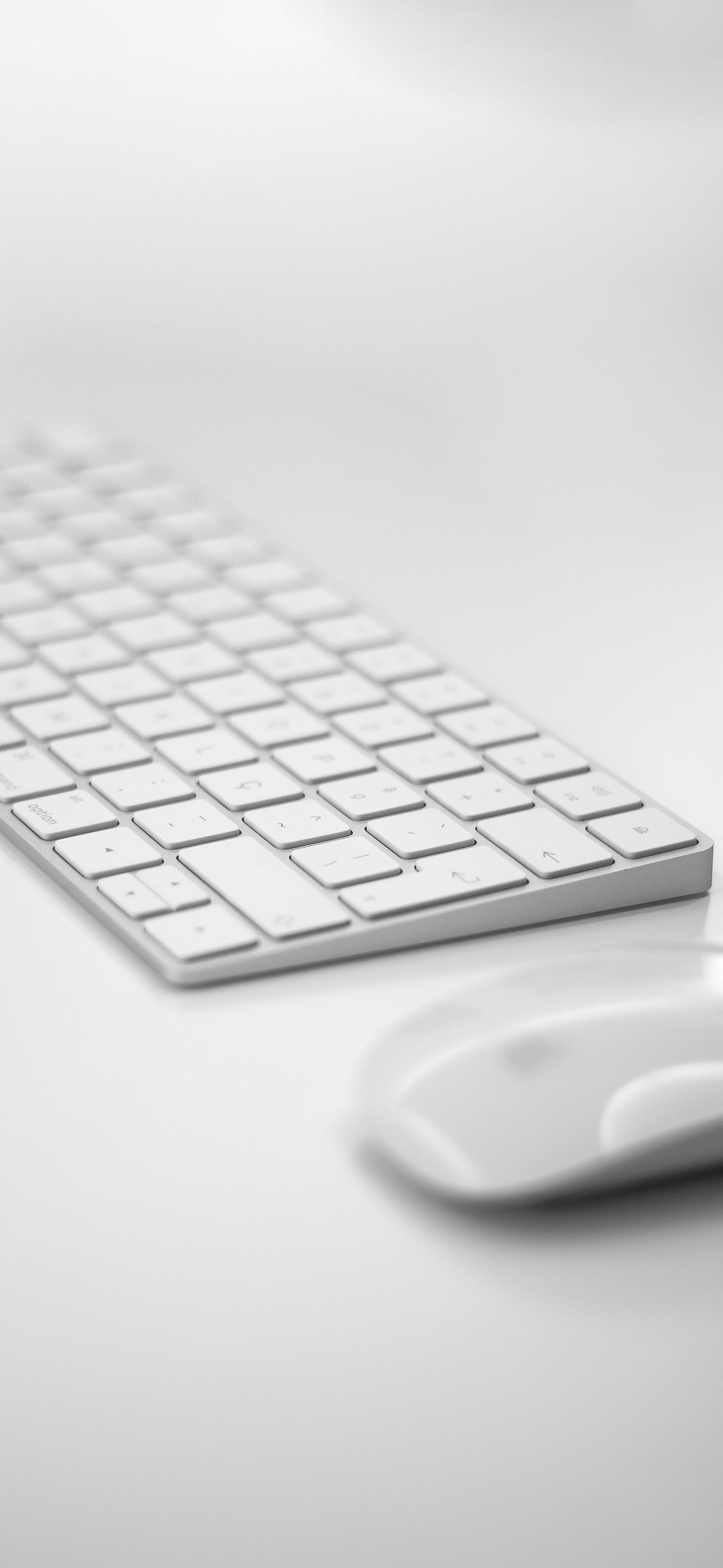 莱分享今日iPhone壁纸分享