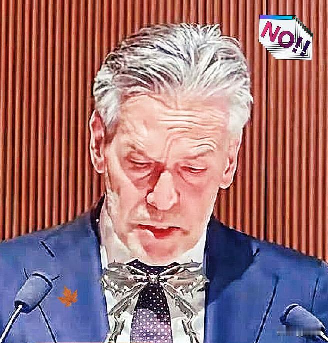 快报！快报！荷兰正式宣布了荷兰首相近期宣布对中资背景的安世半导体实施管控，