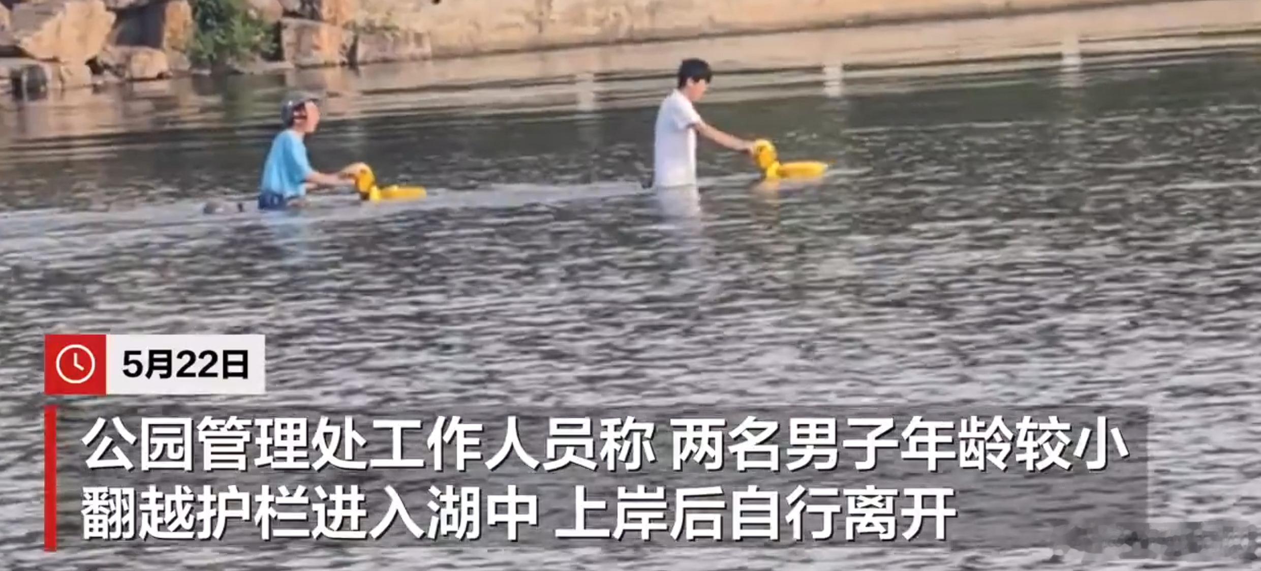 公园回应两男子在湖中骑共享电单车两个男生，估计是初中生，翻越了护栏，骑着共享电