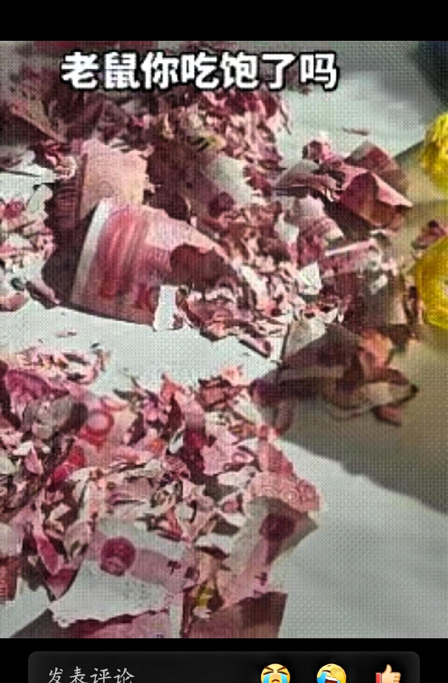 “肠子都悔青了！”云南昭通，男子回家翻出藏钱的塑料桶，刚一打开，当场腿软手抖，发