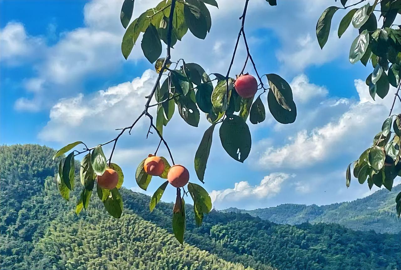 教师评职称，越早越好。因为教师的工资与职称挂钩，评得越早，你的工资就会越高。