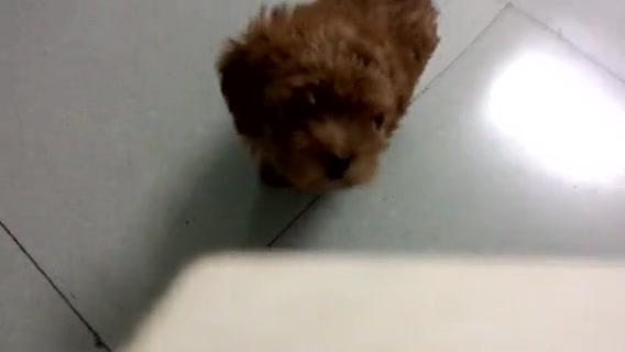 17495351519715278409.jpg?id=0