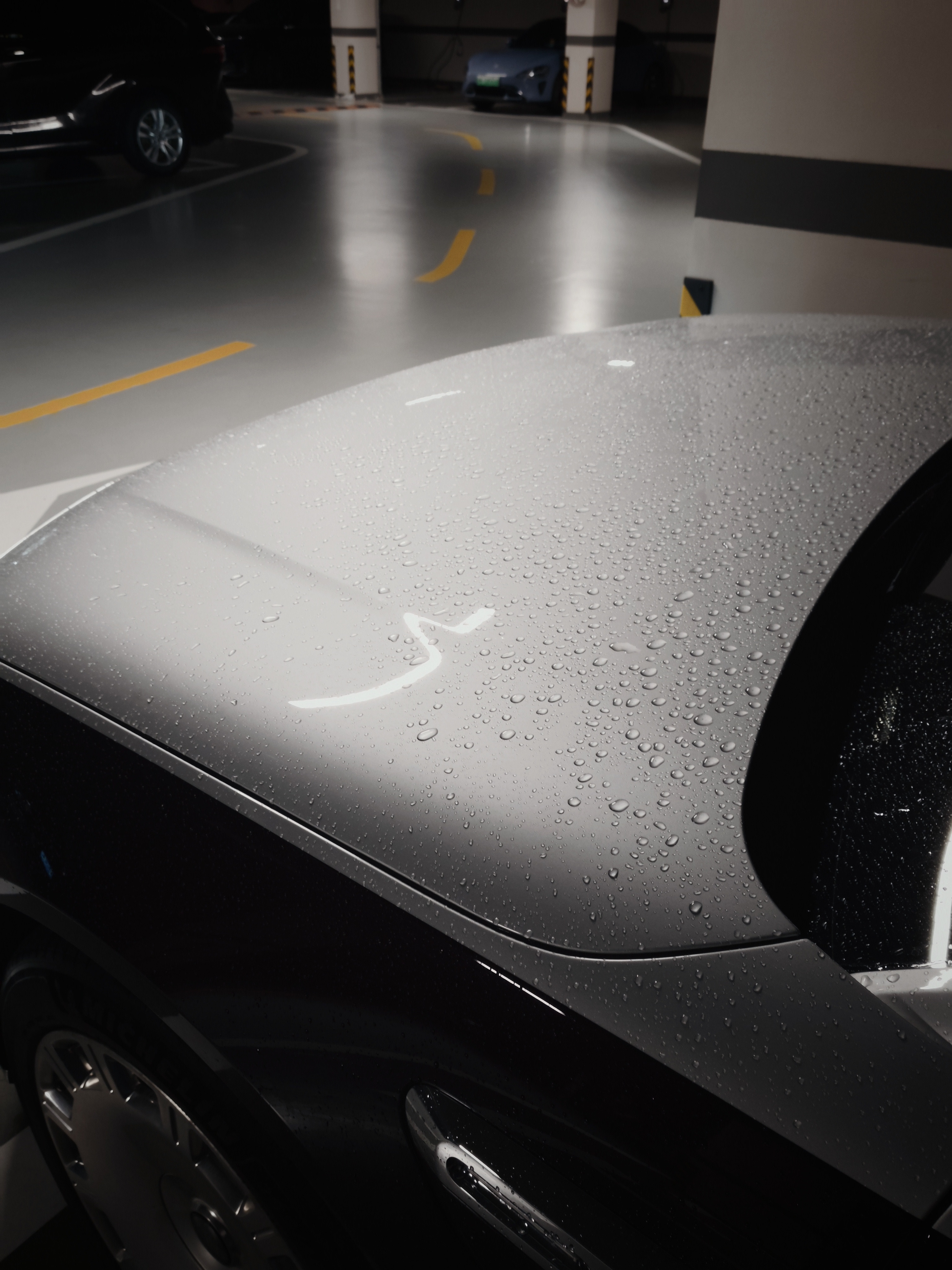 你会经常回头看你的车吗