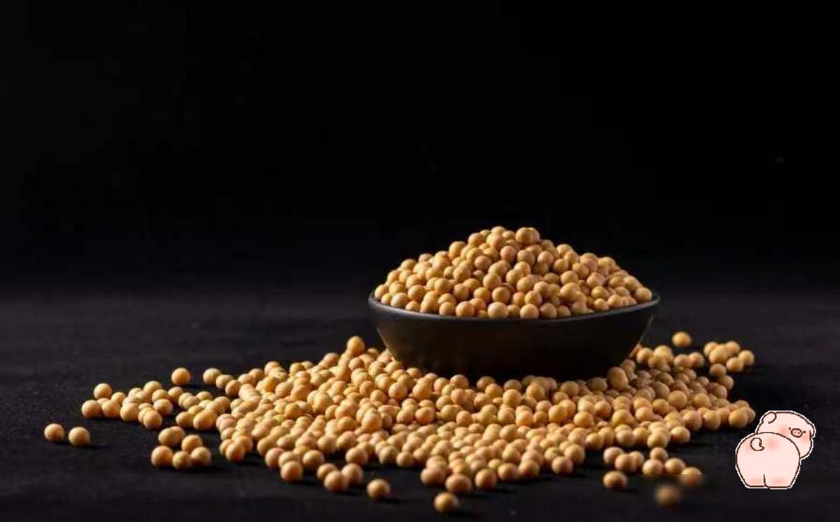 中国最近太难了,不买美国大豆,巴西大豆猛涨价,阿拉根大豆涨价,中国难道非要买大豆