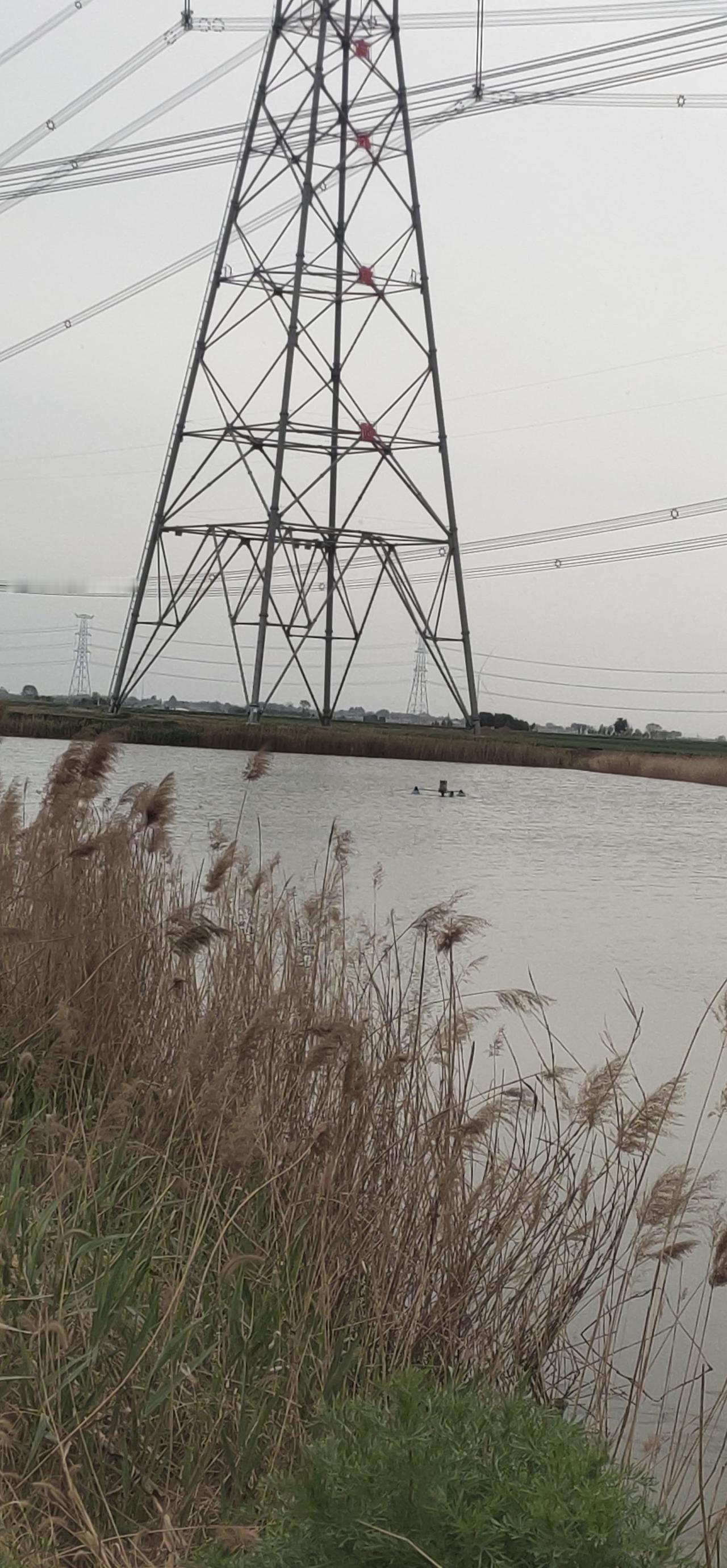 春日生活打卡季春天到啦，我家那鱼坑也该热闹起来了。不过听老养殖户说，开春放苗可