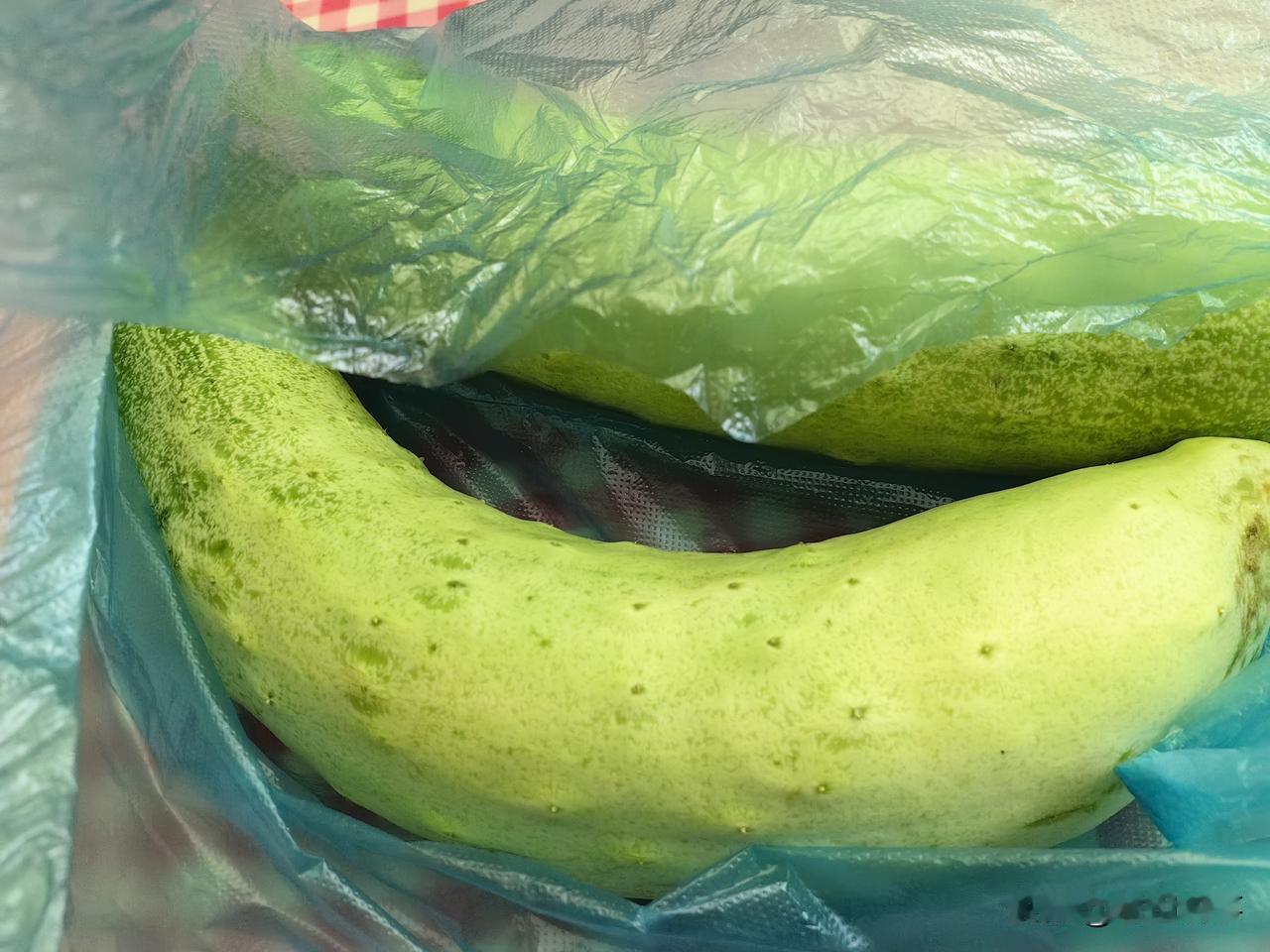 我家保姆我真的无法说她！来我家里上班三天两头手里没有空过。她家是城郊的，她来