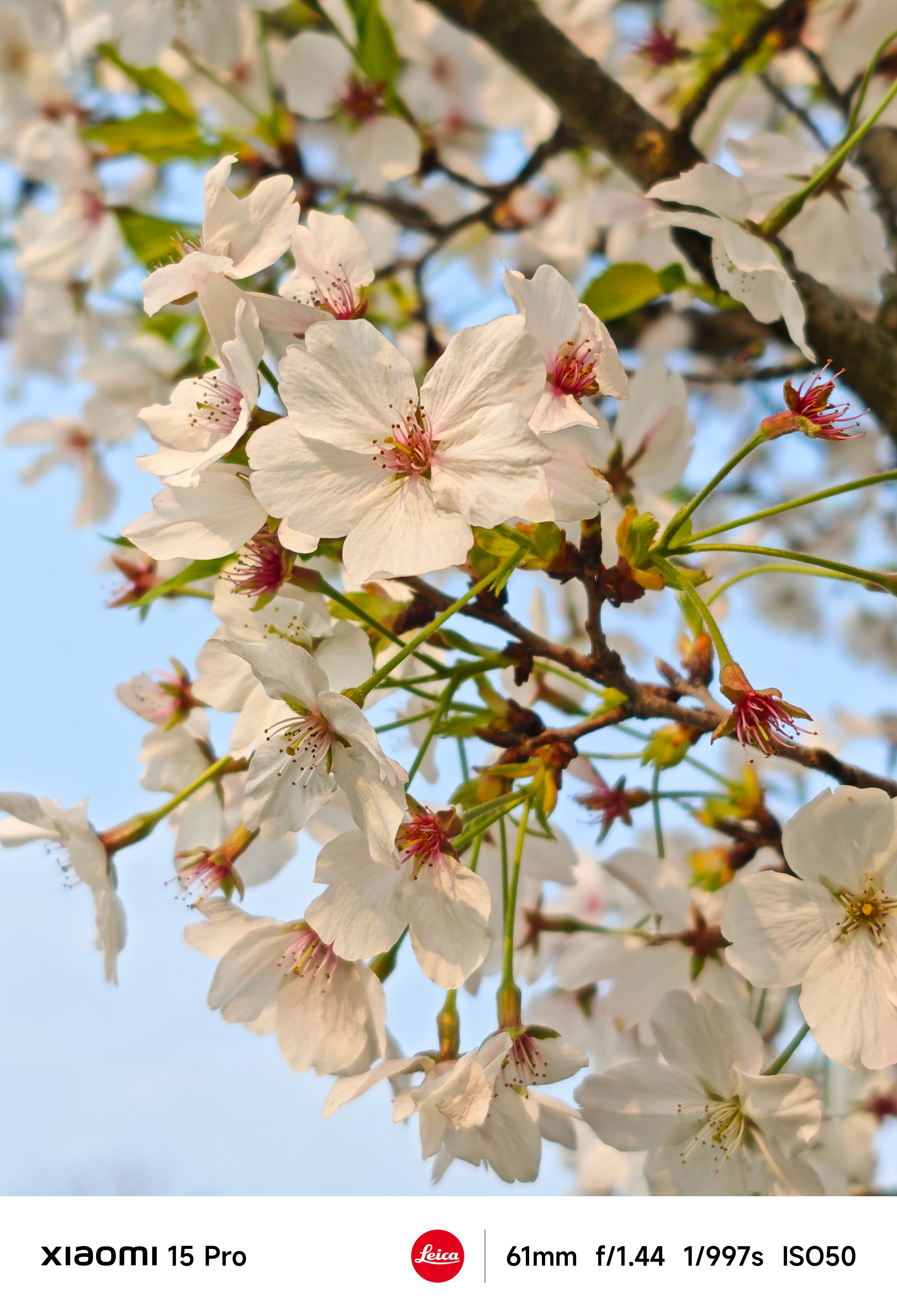 玩大富翁的经常有人拿Z哥说事儿Z哥让你守纪律，你守了么？Z哥让你跌破白线