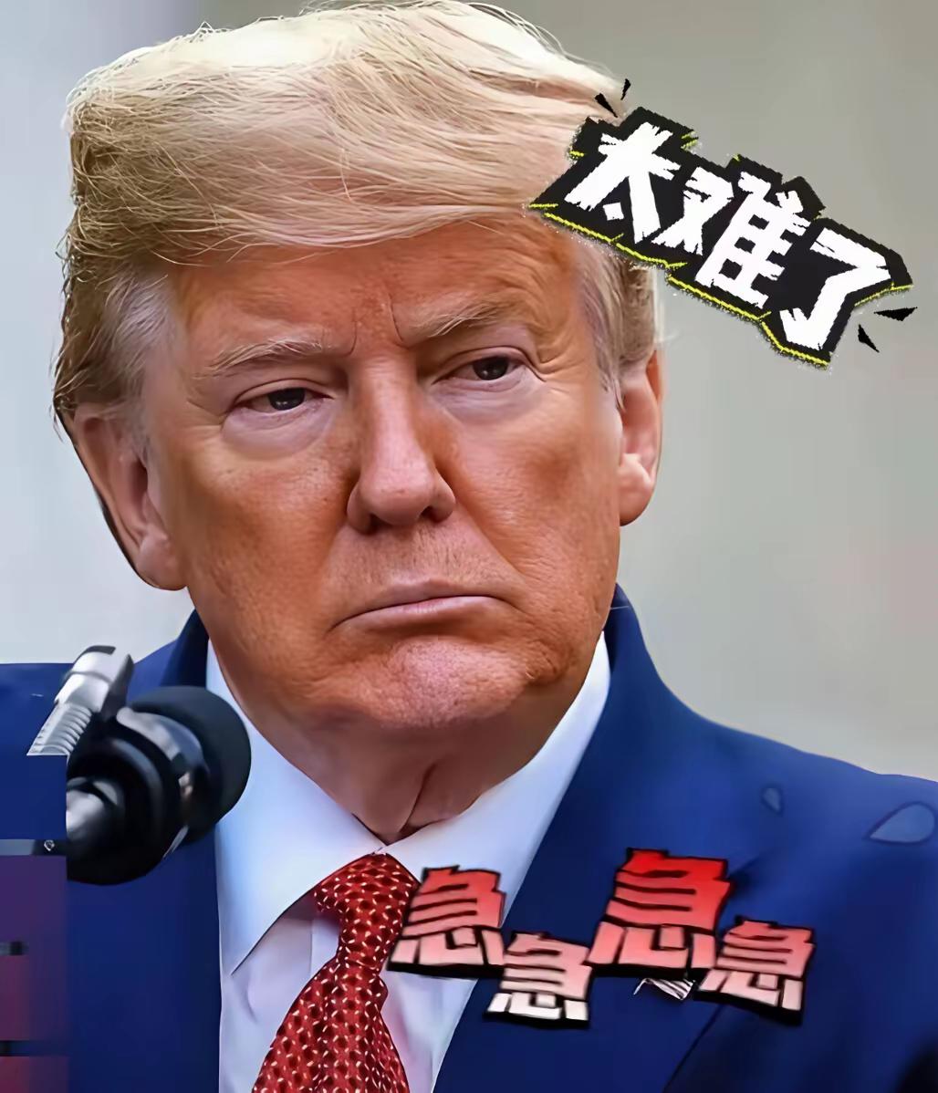 快报，快报！特朗普急眼了印度、东南亚都跑了个遍都被啪啪打脸。大豆生