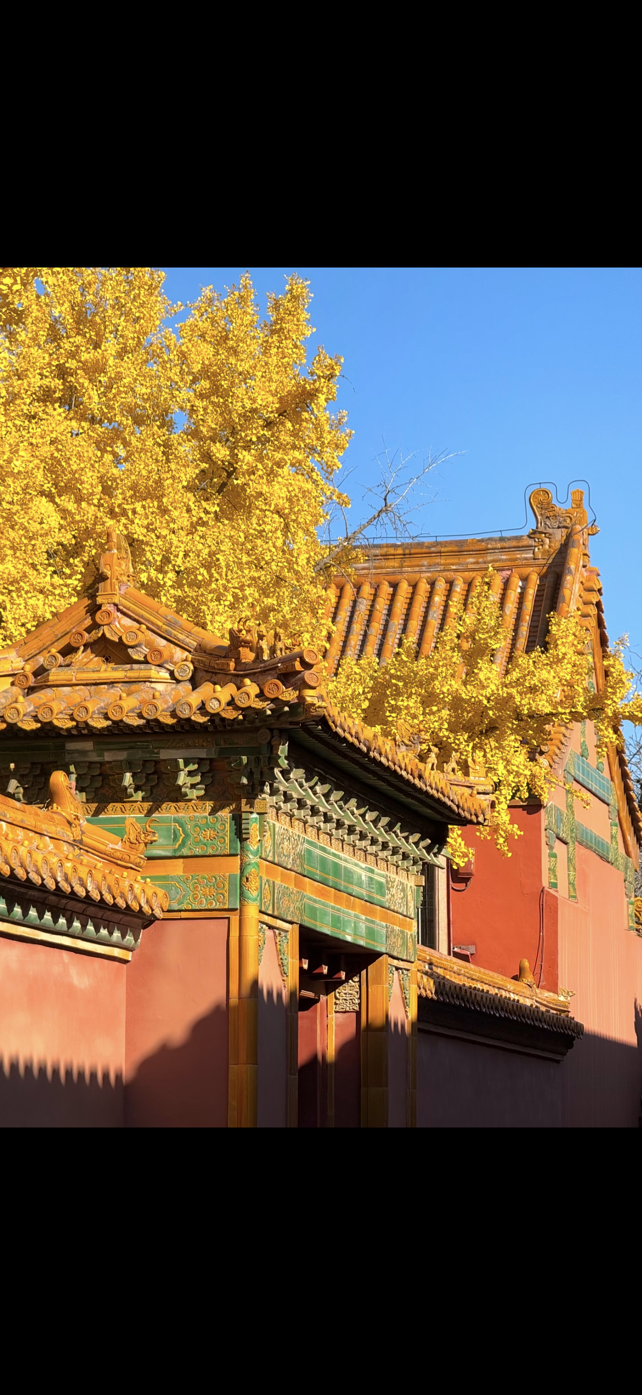 北京近十年最早入秋，这份“天堂级”赏秋攻略请收好！北京市气象台官宣：2026年北京入秋时间为9月8日