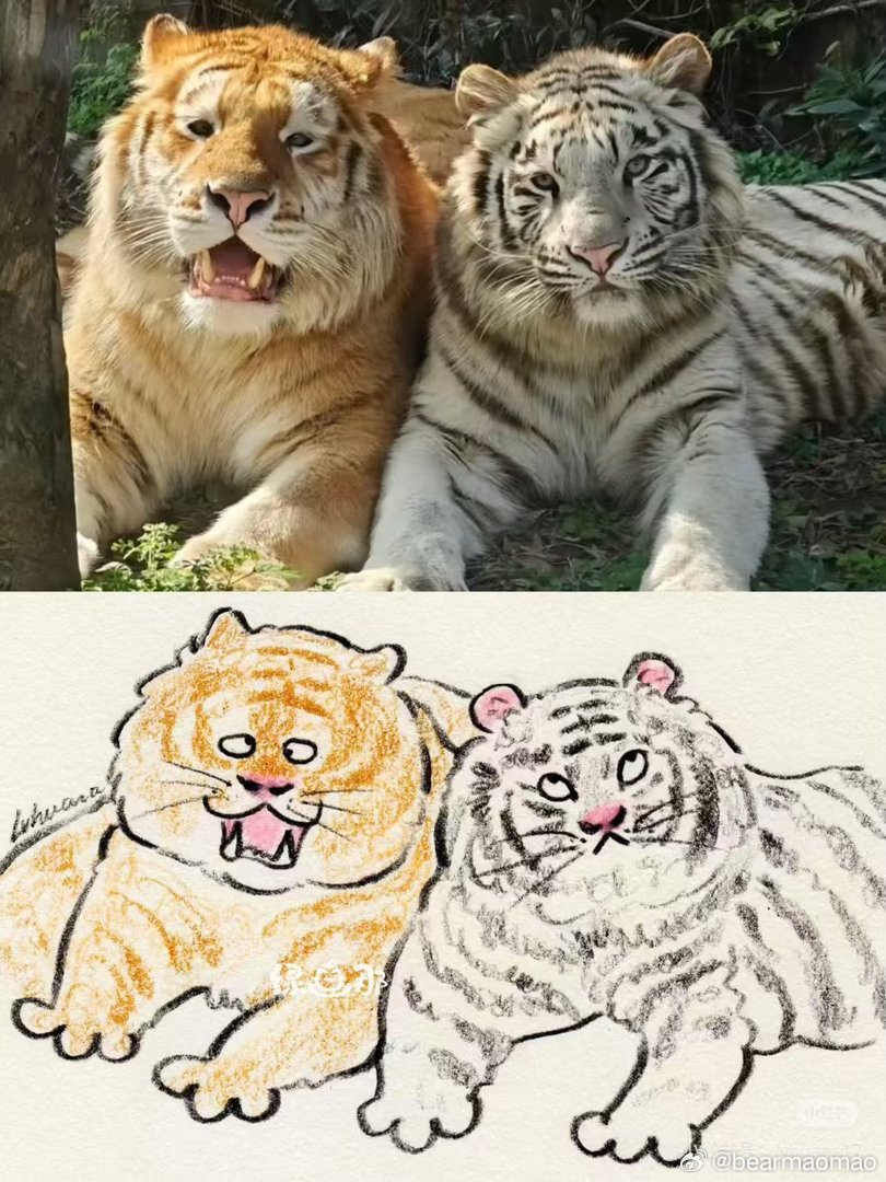 我：？？？？？这是什么亲妈滤镜？