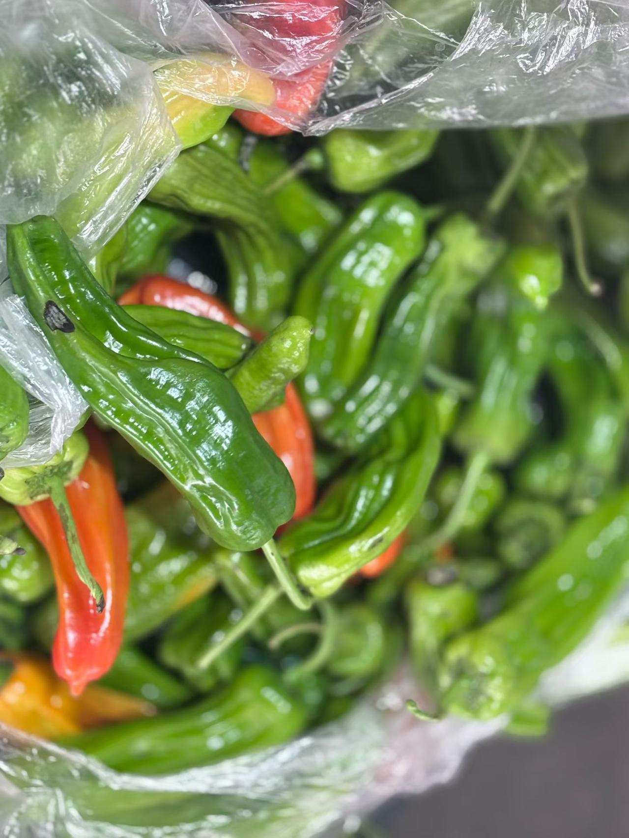 刚从菜市场拎回来一袋皱皮青椒，带着水珠的那种新鲜劲儿，看着就踏实。挑菜的时候老板