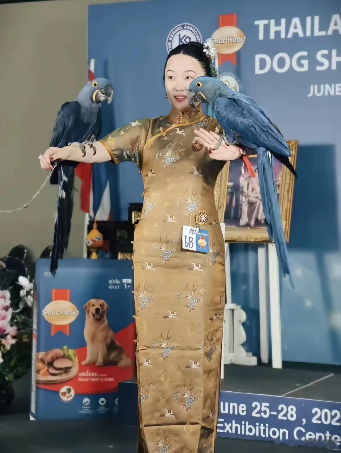 一人血书，请霍思燕出任国足教练！继她家狗狗夺冠后，鸟也夺冠了