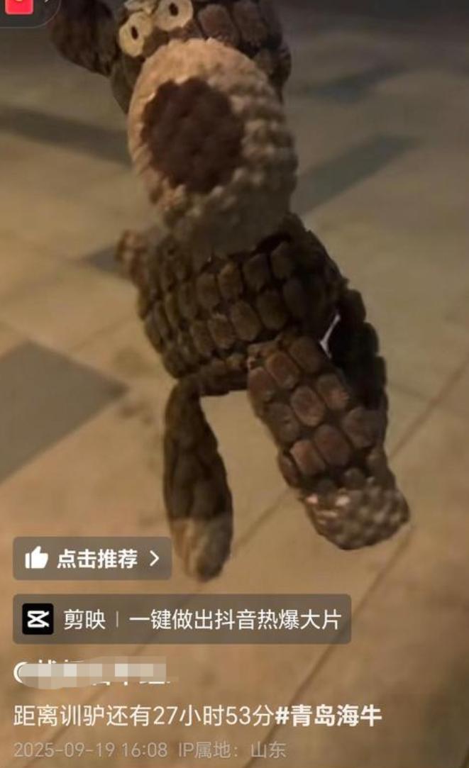 青岛球迷依然对泰山队充满了敌意！！甚至还拿出驴的玩偶，并附上训驴二字！驴，是
