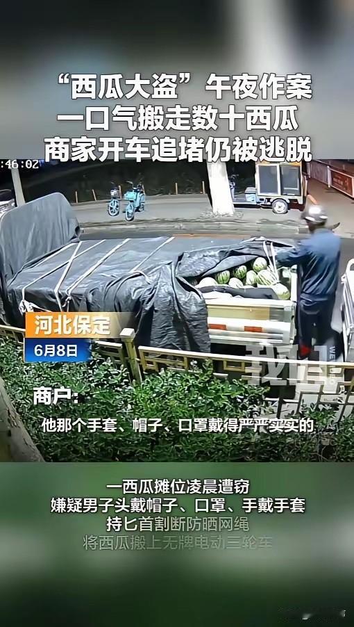 “这是进货来了？”6月8日报道，河北保定，一西瓜商贩把车停在路边，没想到半夜却遭