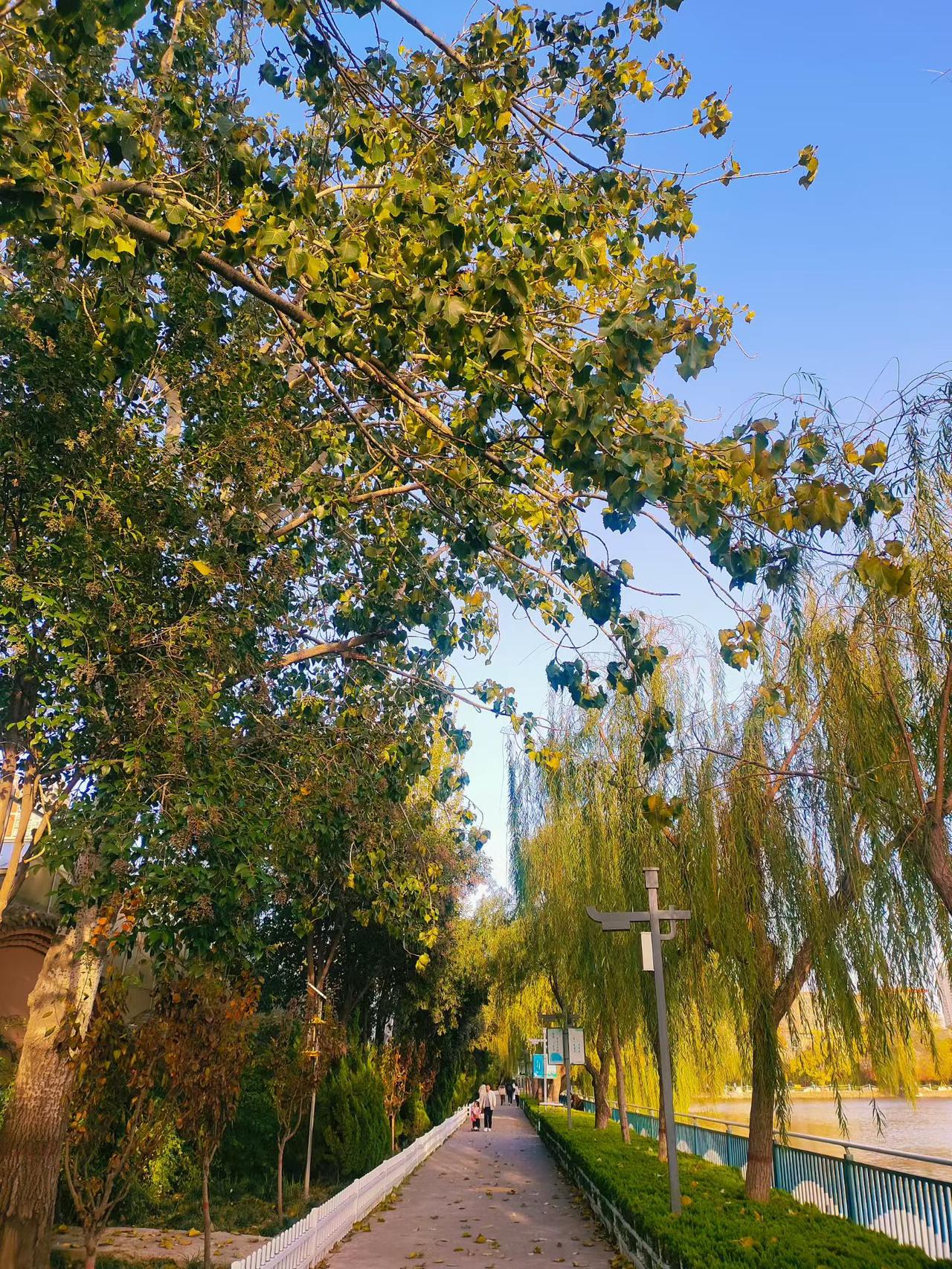 我有一个邻居，我以为他很有钱。平时穿得干净利落，出门总开着一辆看着挺贵的车，说话