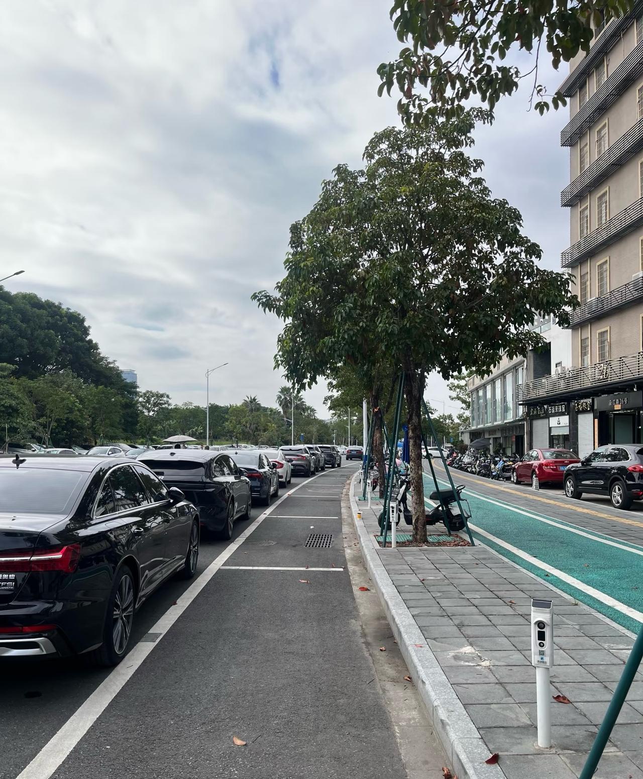 你收你的我停我的？几年没来佛山，几乎所有的路边都成了收费车位。大家有意见是因