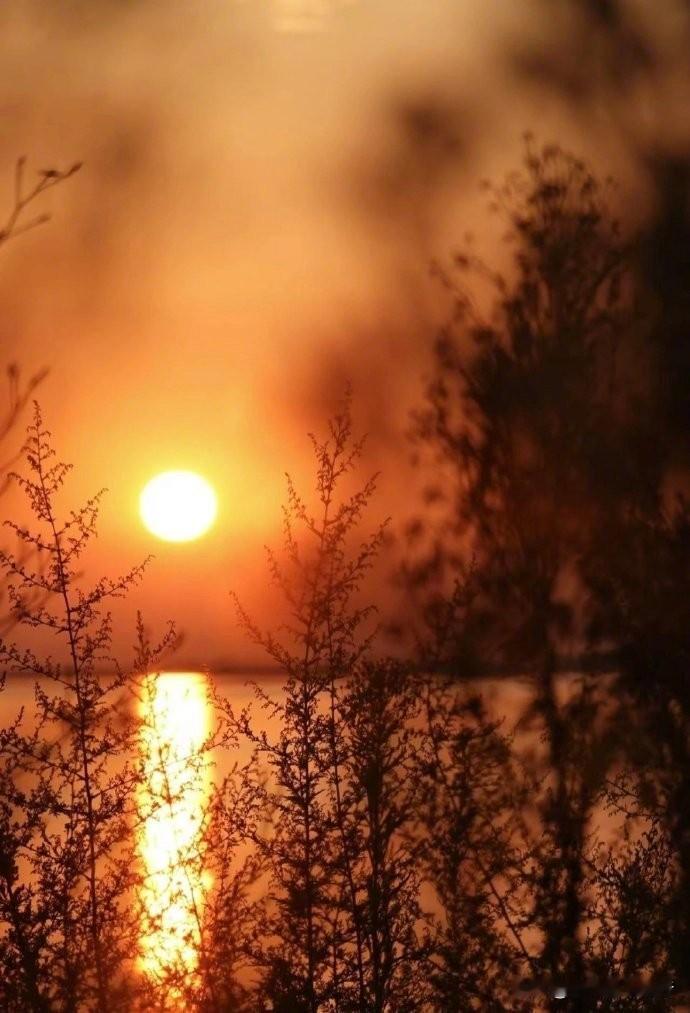 大自然的美景能有多惊艳?落日舒展最后的慷慨，将天际晕染成橘红。暮年不是落幕，是