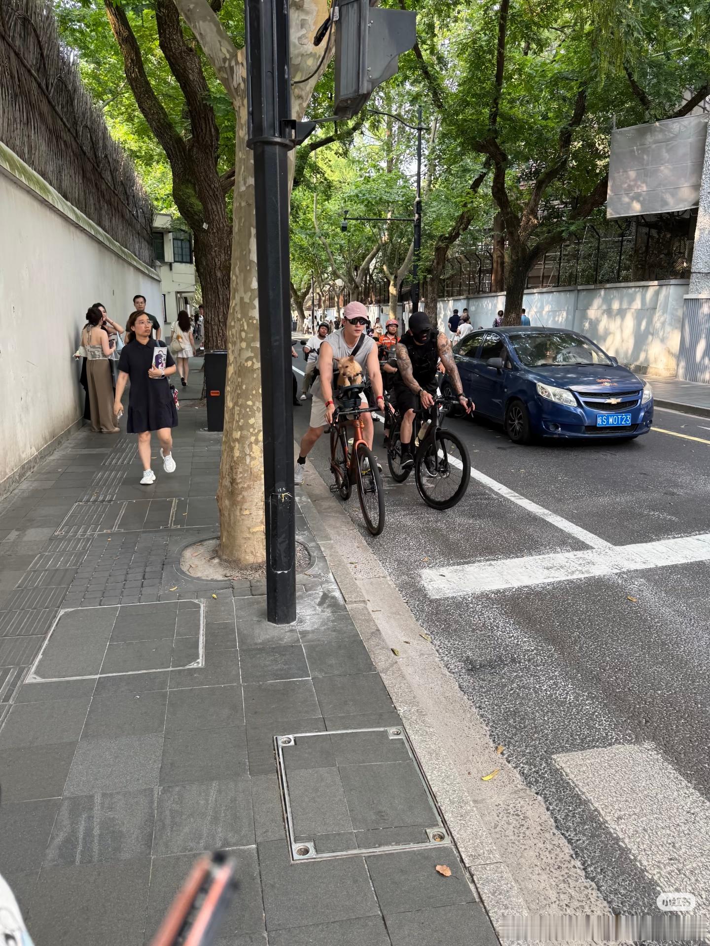 黄景瑜上海骑行被偶遇，还有狗狗专座