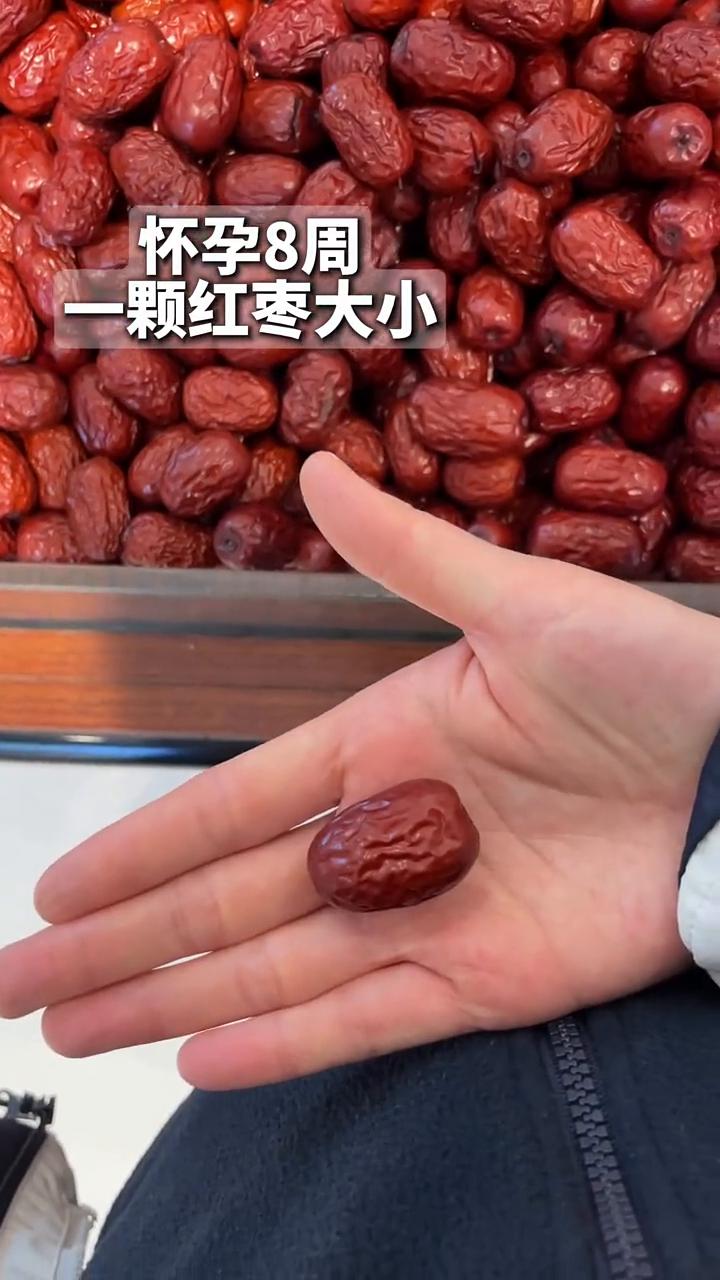 ·怀孕4周：一粒芝麻大小。·怀孕9周：一颗开心果大小。·怀孕10周：一颗红枣