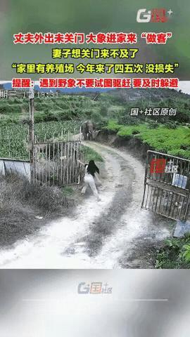 云南景洪发生了一件稀罕事！一名女子当时正在家中休息，她突然听到门外传来很大的