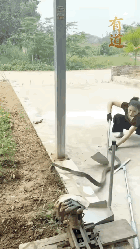 蛇：大姐，你是认真的吗？