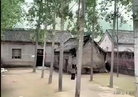 近日，河南新乡一农村大爷的院子因为干净而走红，引来很多人拍照打卡，成了当地的一个