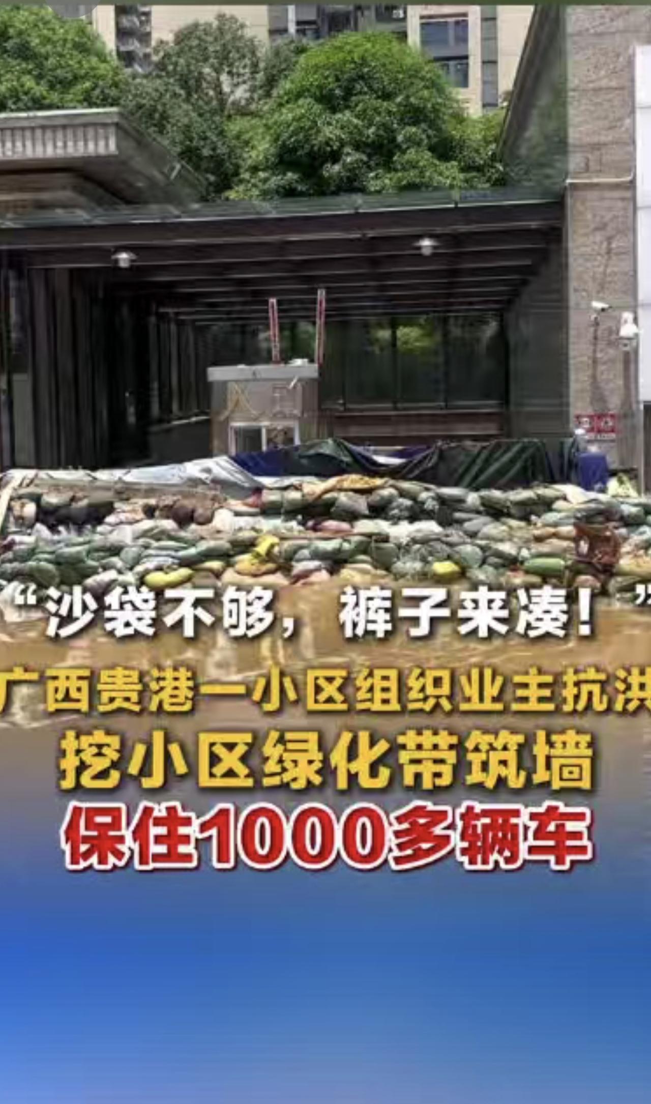 “沙袋不够，裤子来凑！”广西贵港一小区组织业主抗洪挖小区绿化带筑墙保住100