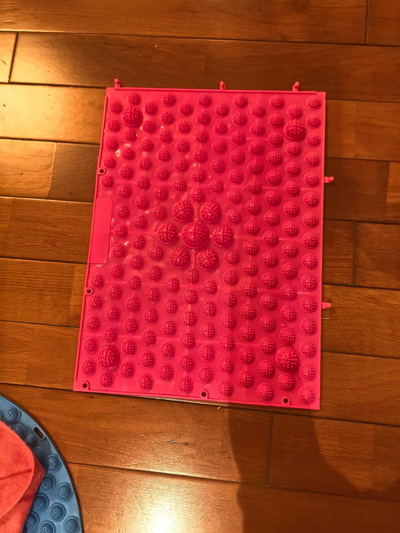 今日运动打卡年过完了，该减肥了，听说这个东东对减肥有帮助，安排上，第一晚跳了40