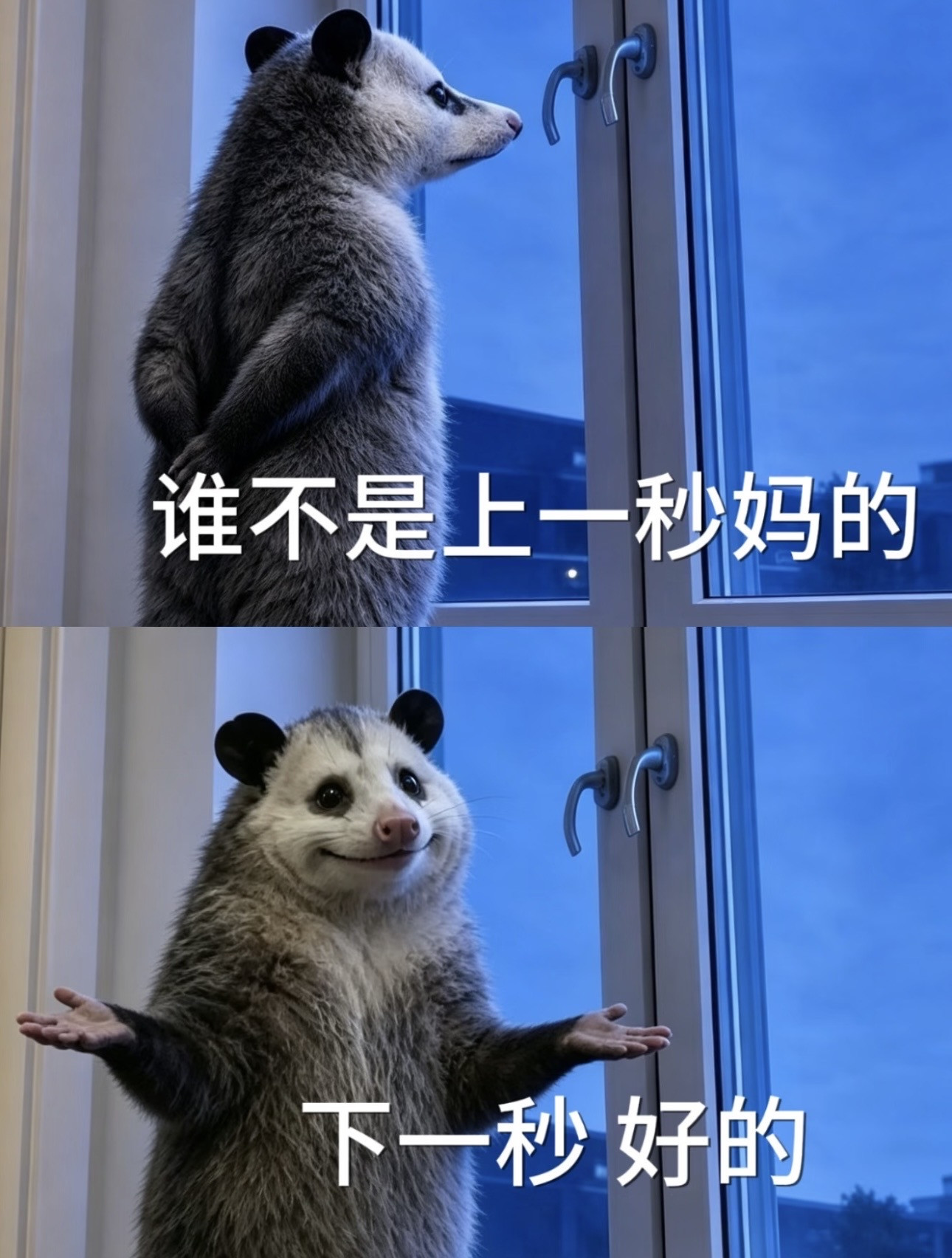 真的很喜欢上班了
